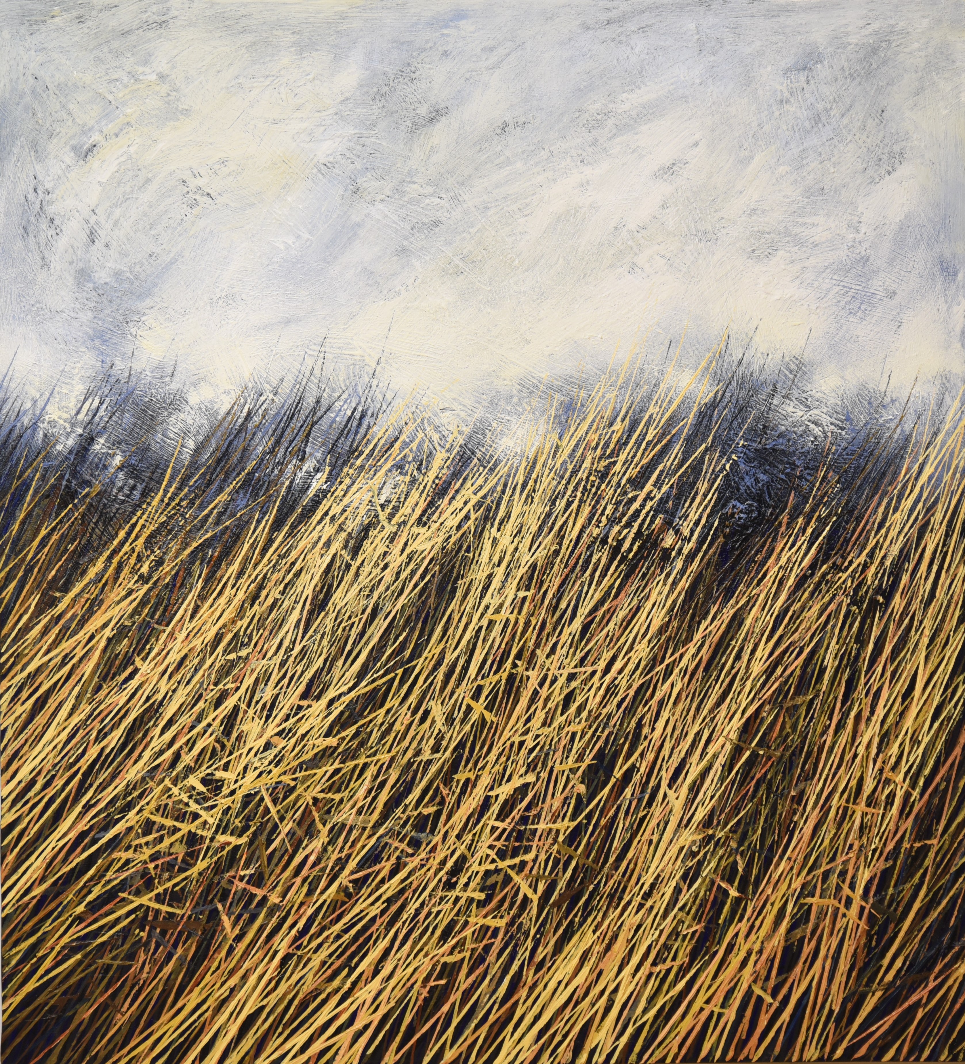 ALEXANDAR ZAFIROVSKY (1984) - WINDY FIELD